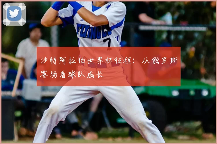 沙特阿拉伯世界杯征程:从俄罗斯赛场看球队成长