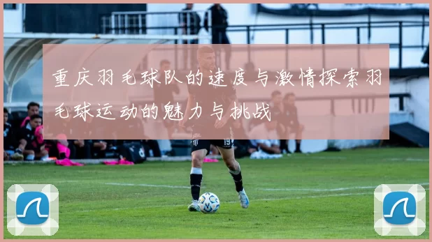 重庆羽毛球队的速度与激情探索羽毛球运动的魅力与挑战