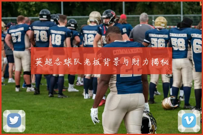英超各球队老板背景与财力揭秘
