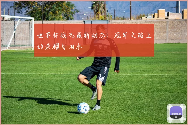 世界杯战况最新动态:冠军之路上的荣耀与泪水