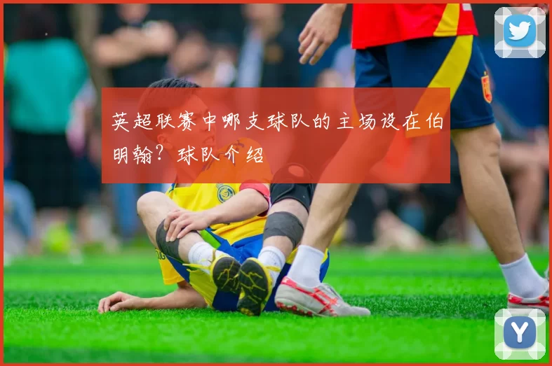 英超联赛中哪支球队的主场设在伯明翰？球队介绍