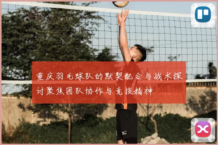 重庆羽毛球队的默契配合与战术探讨聚焦团队协作与竞技精神