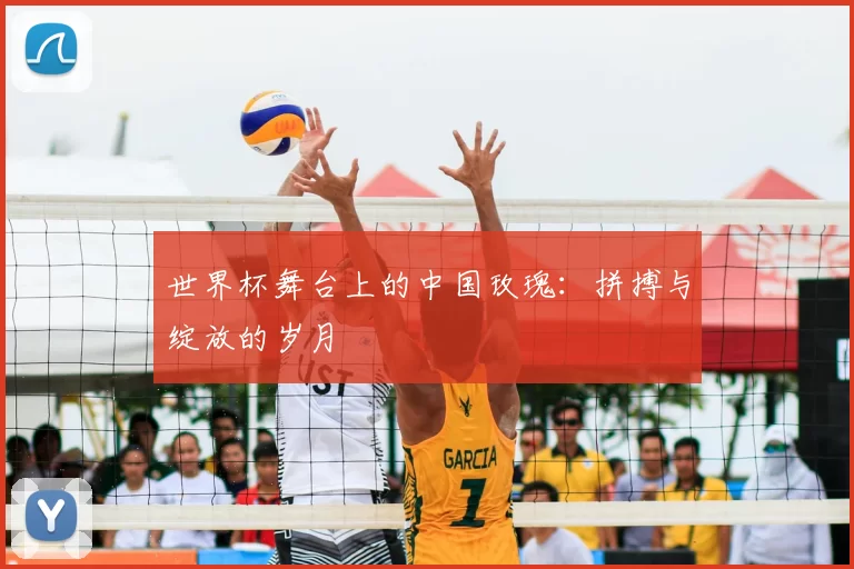世界杯舞台上的中国玫瑰:拼搏与绽放的岁月