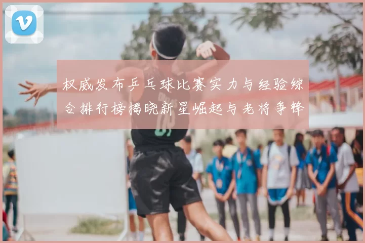 权威发布乒乓球比赛实力与经验综合排行榜揭晓新星崛起与老将争锋