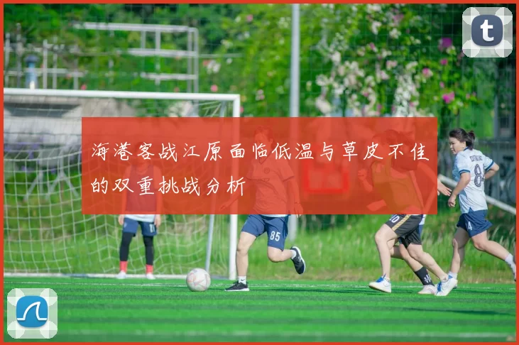 海港客战江原面临低温与草皮不佳的双重挑战分析