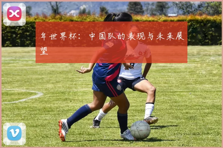 年世界杯:中国队的表现与未来展望