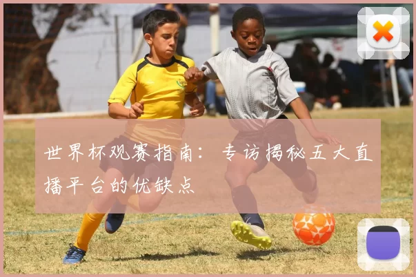 世界杯观赛指南:专访揭秘五大直播平台的优缺点