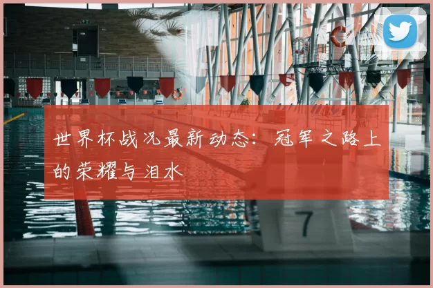 世界杯战况最新动态:冠军之路上的荣耀与泪水