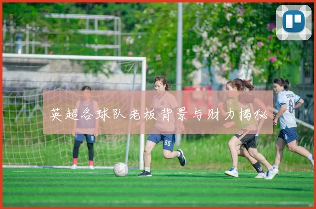 英超各球队老板背景与财力揭秘