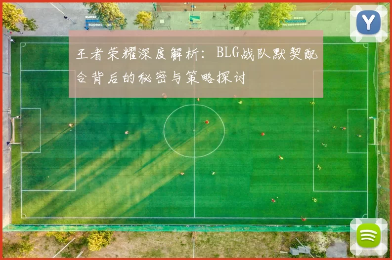王者荣耀深度解析：BLG战队默契配合背后的秘密与策略探讨