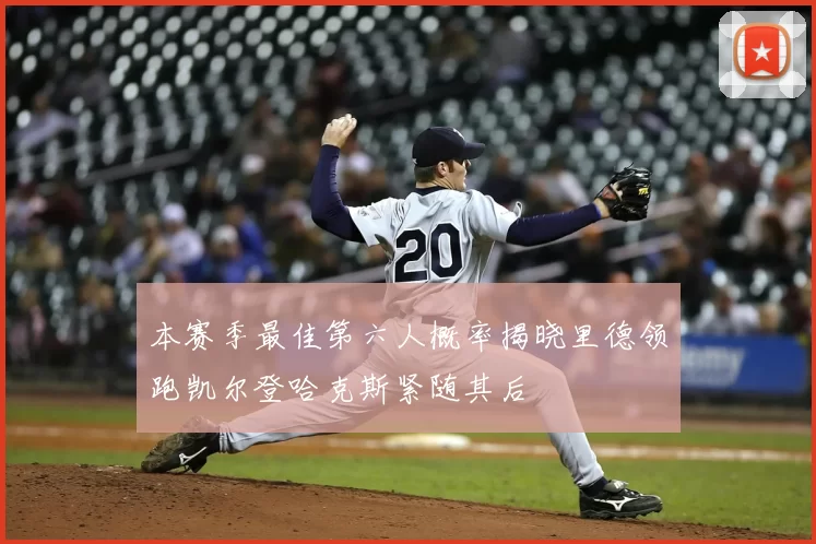 本赛季最佳第六人概率揭晓里德领跑凯尔登哈克斯紧随其后
